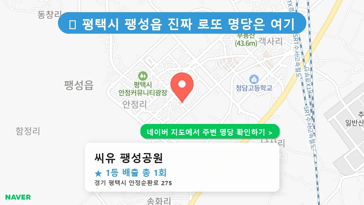 제1223회 평택시 팽성읍 로또 명당 씨유 팽성공원 위치 및 상세정보