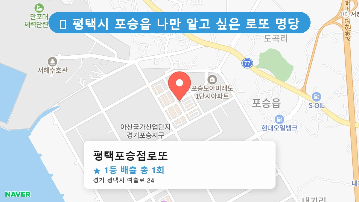 제1217회 평택시 포승읍 로또 명당 평택포승점로또 위치 및 상세정보