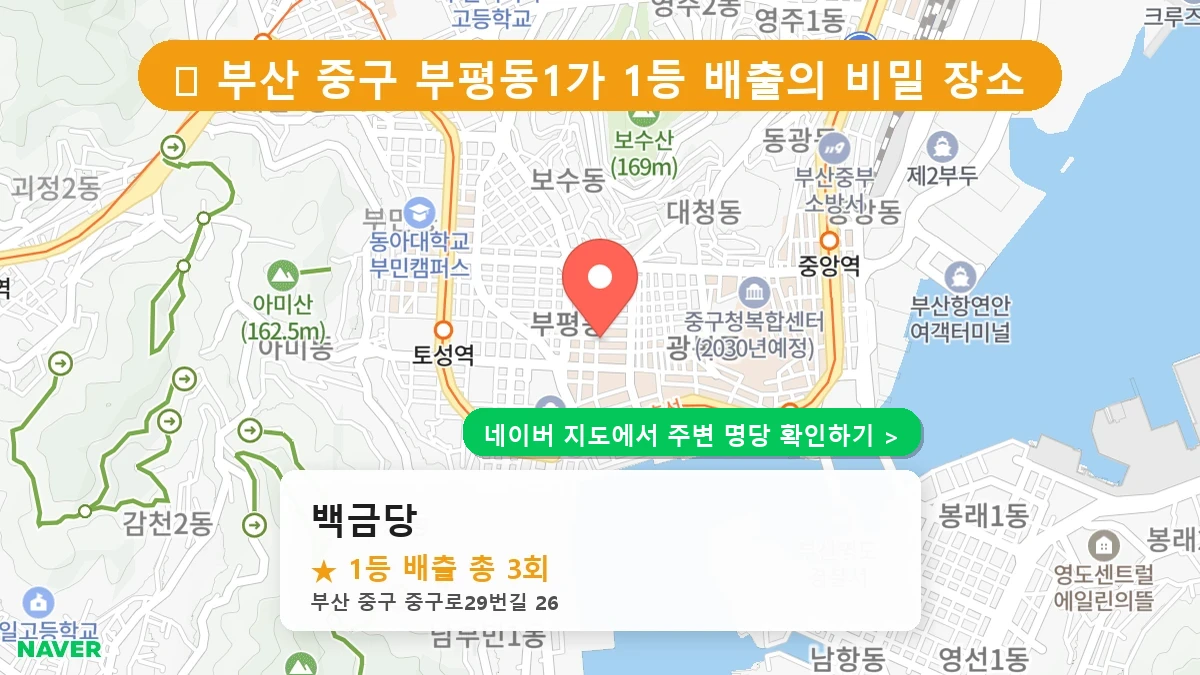 백금당 네이버 지도