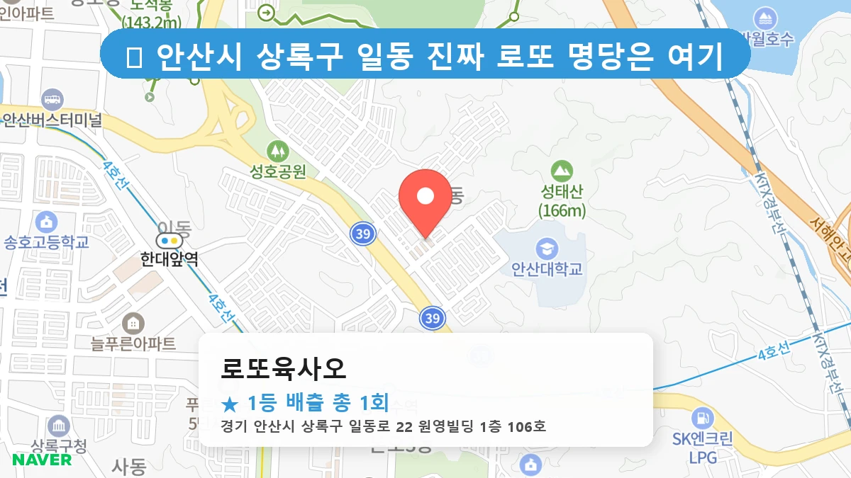 로또육사오 네이버 지도