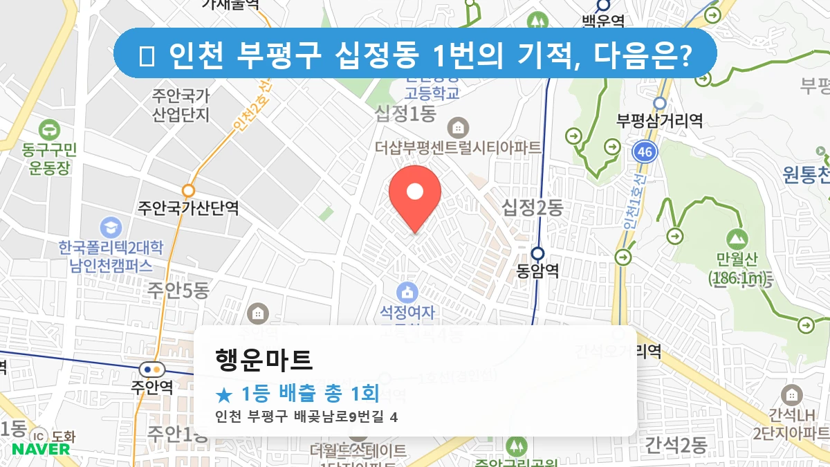 행운마트 네이버 지도