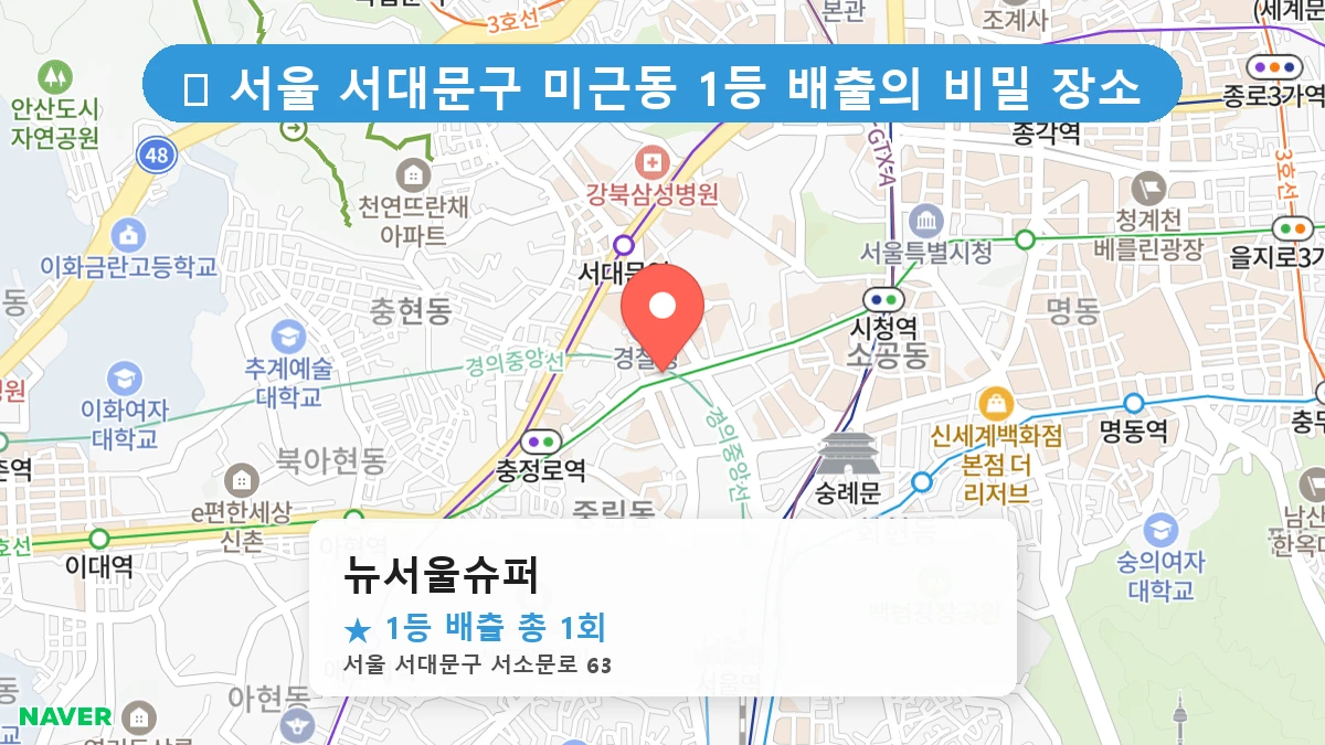 뉴서울슈퍼 네이버 지도