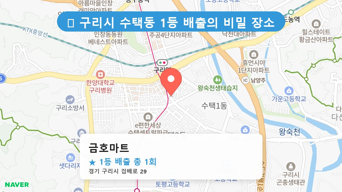 금호마트 네이버 지도
