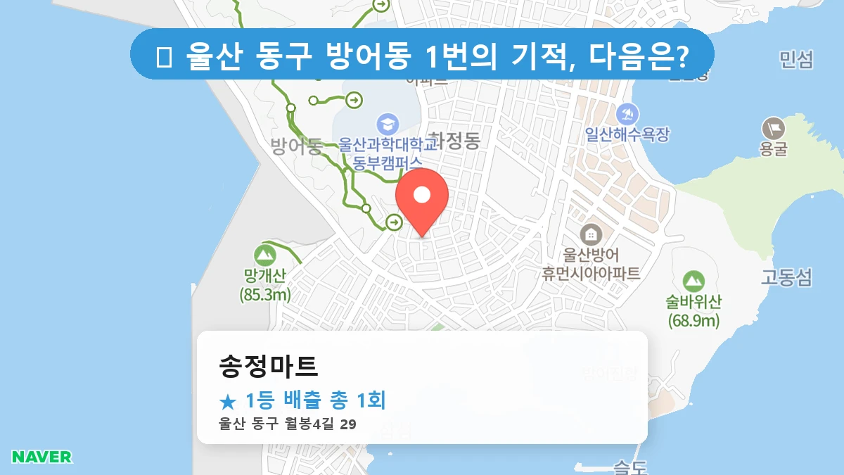 송정마트 네이버 지도
