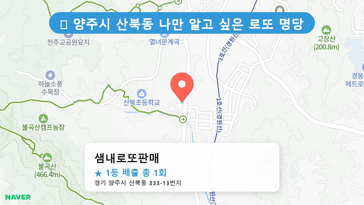 샘내로또판매 네이버 지도