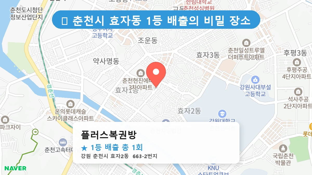 플러스복권방 네이버 지도