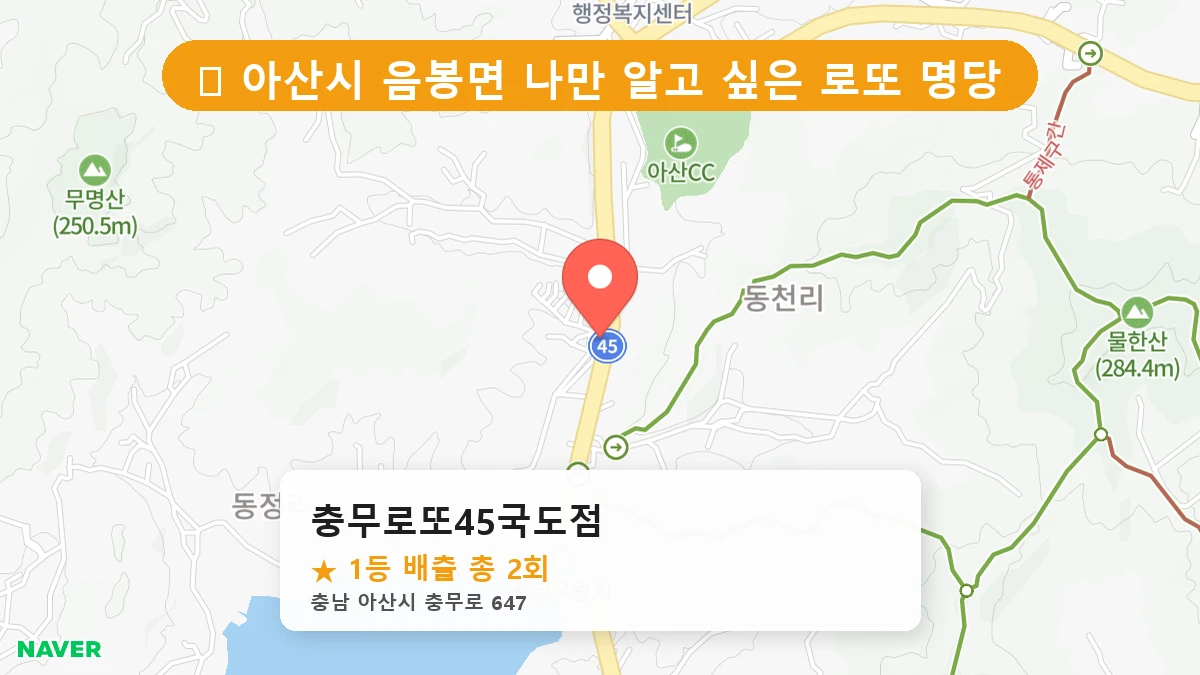 충무로또45국도점 네이버 지도