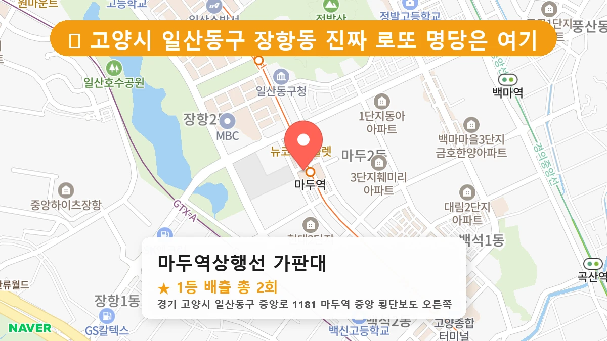 마두역상행선 가판대 네이버 지도