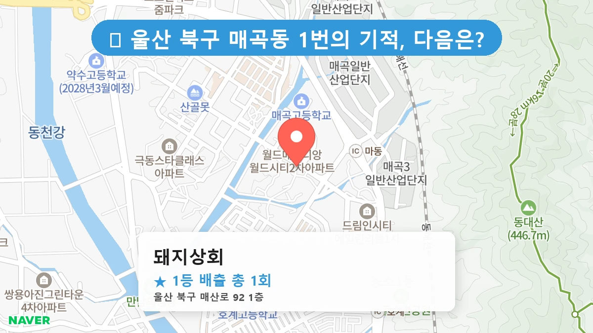 돼지상회 네이버 지도