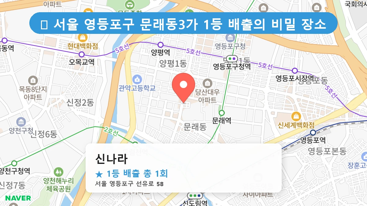 신나라 네이버 지도