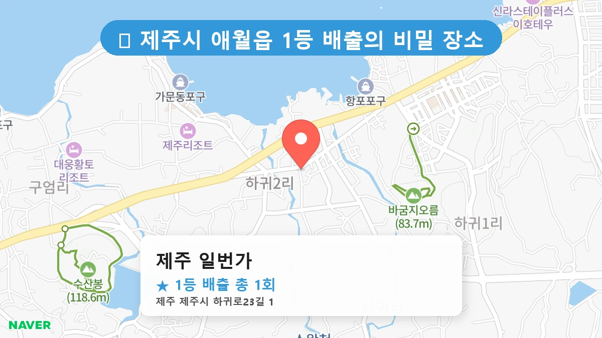 제주 일번가 네이버 지도