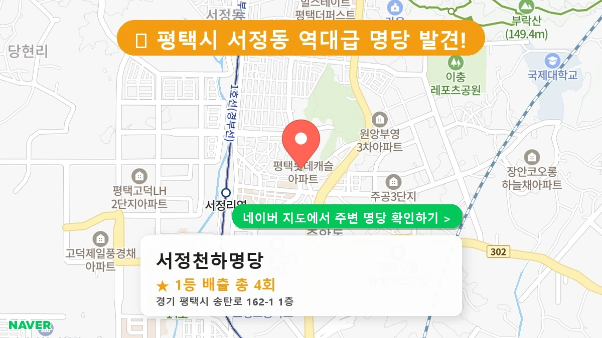 서정천하명당 네이버 지도