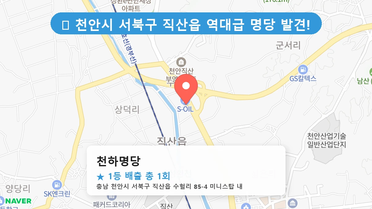 천하명당 네이버 지도