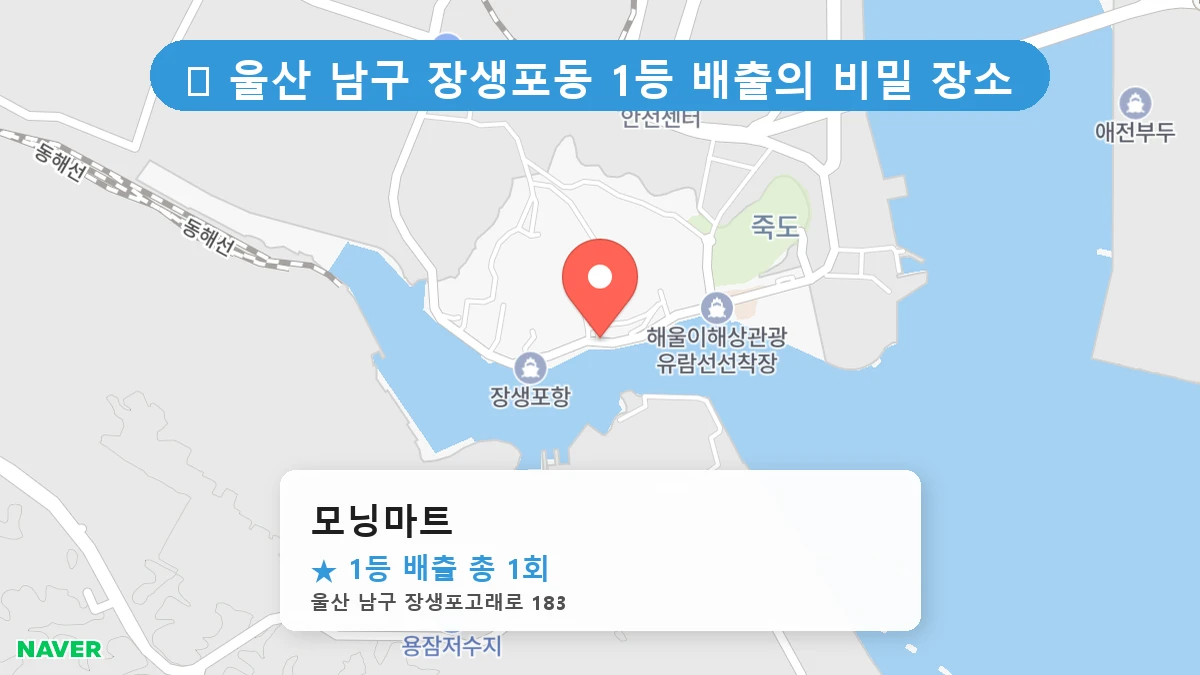 모닝마트 네이버 지도