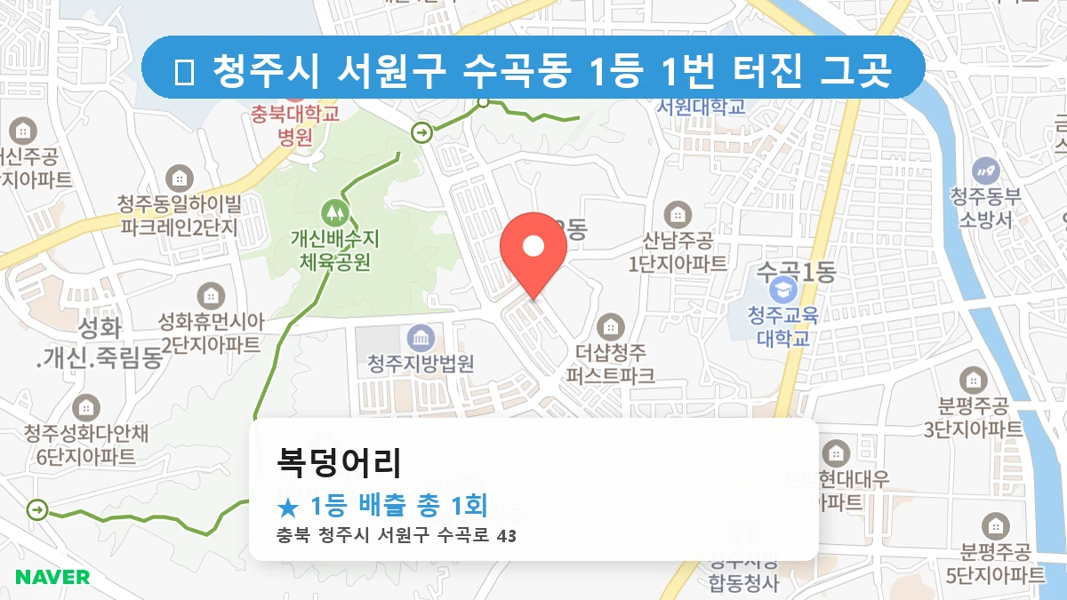 복덩어리 네이버 지도