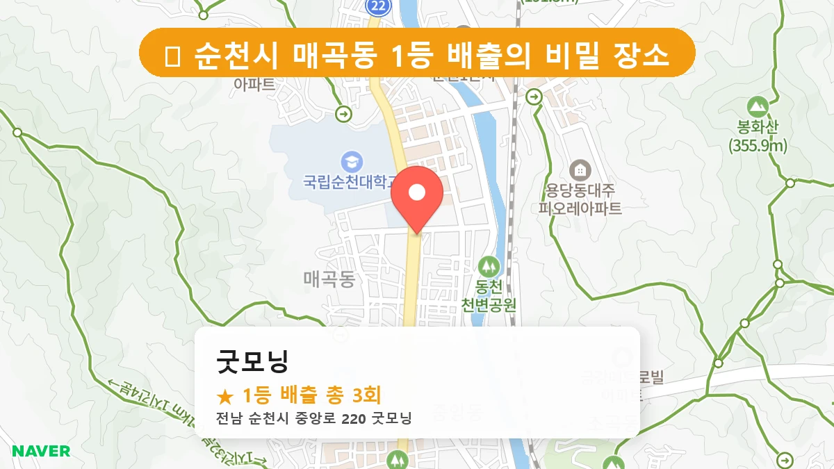굿모닝 네이버 지도