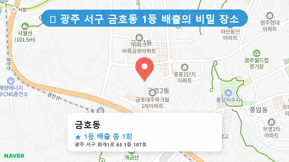 금호동 네이버 지도
