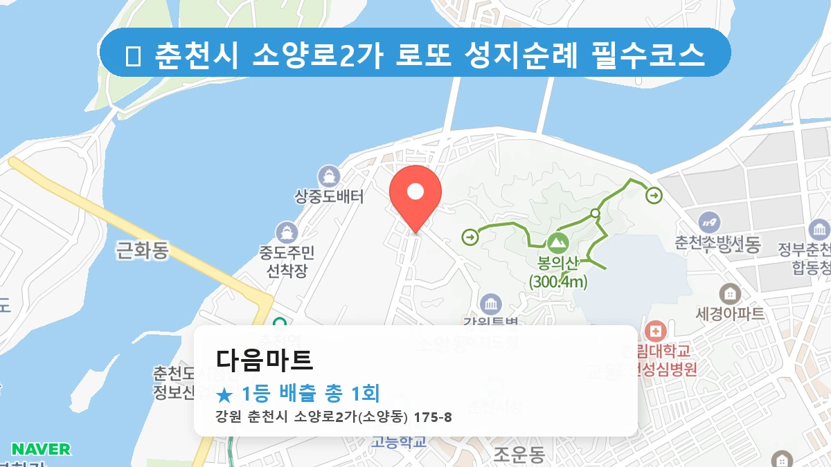 다음마트 네이버 지도