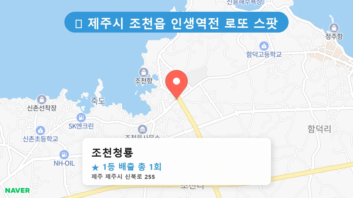 조천청룡 네이버 지도