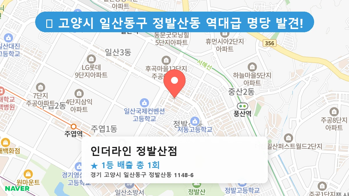 인더라인 정발산점 네이버 지도