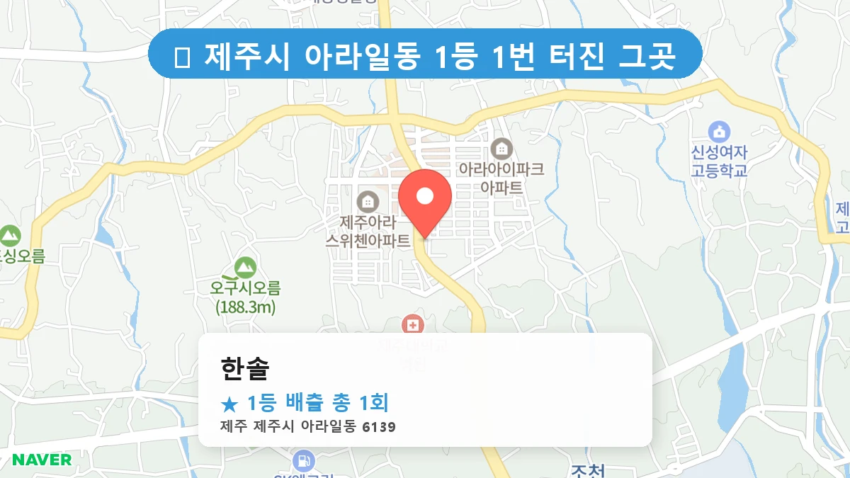 한솔 네이버 지도