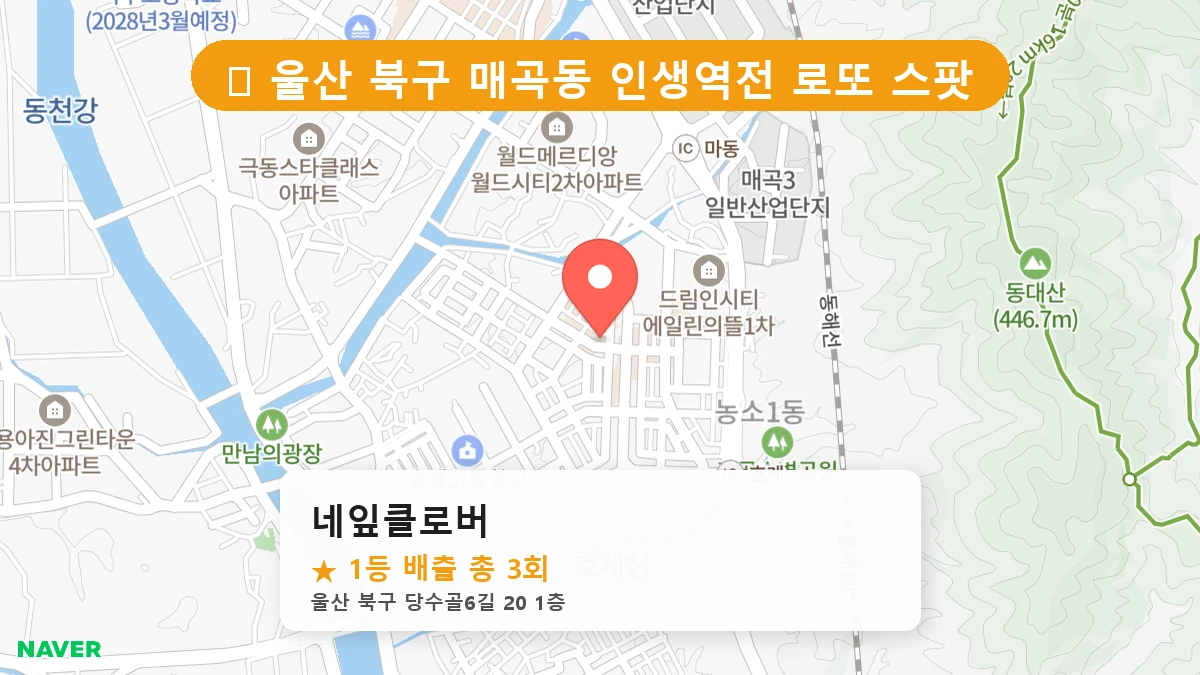 네잎클로버 네이버 지도