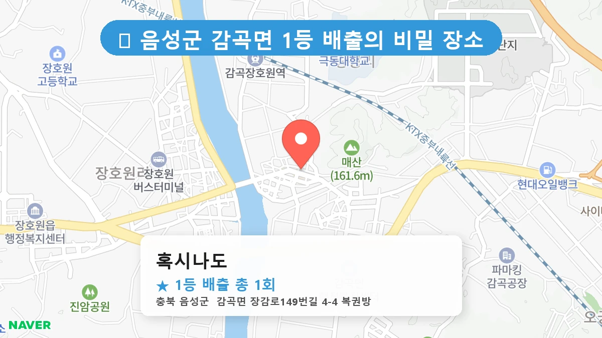 혹시나도 네이버 지도