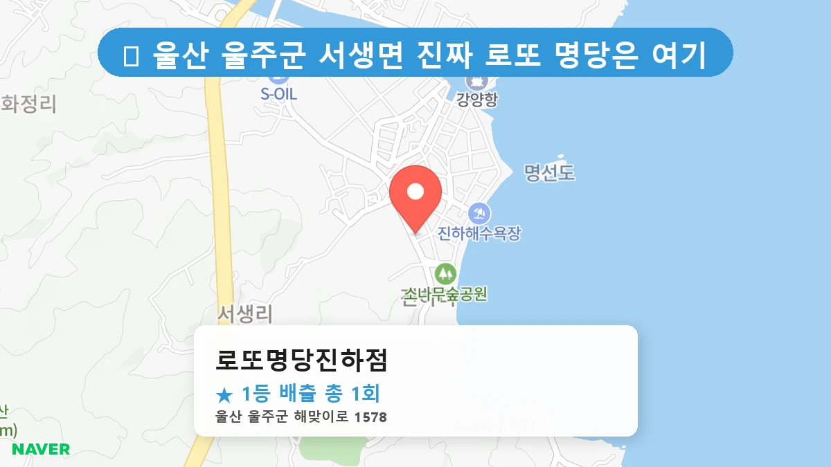 로또명당진하점 네이버 지도