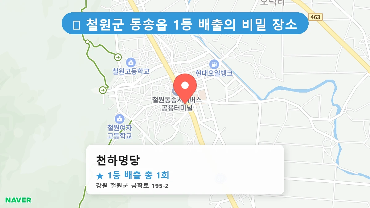 천하명당 네이버 지도