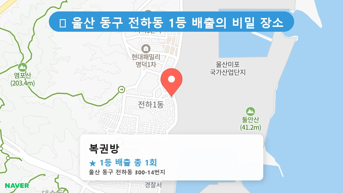 복권방 네이버 지도