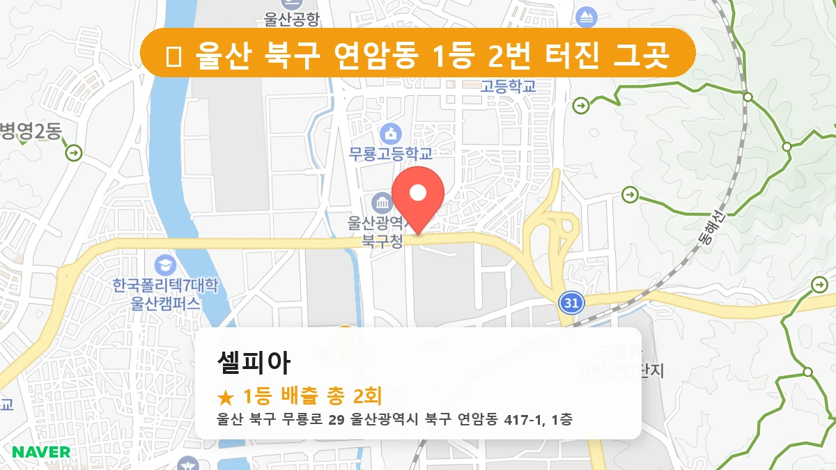 셀피아 네이버 지도