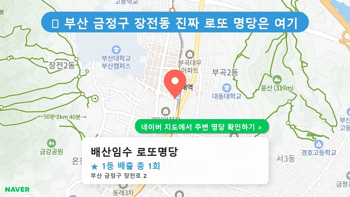 배산임수 로또명당 네이버 지도
