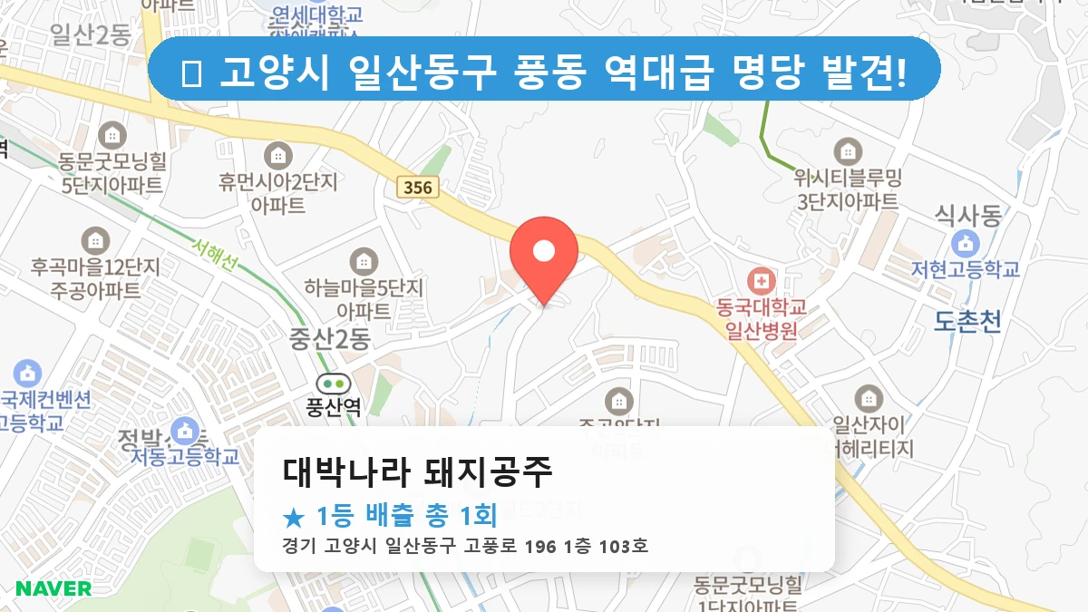 대박나라 돼지공주 네이버 지도