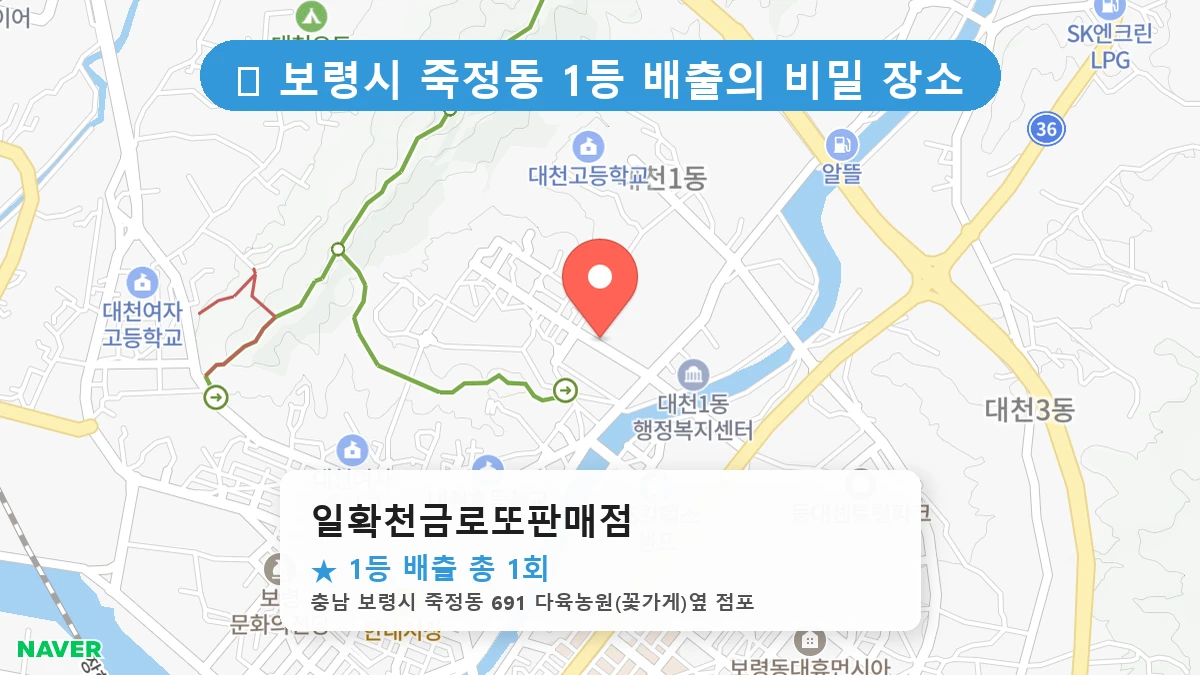 일확천금로또판매점 네이버 지도