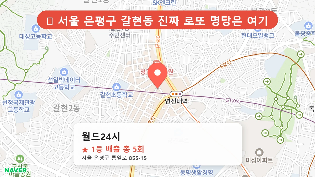월드24시 네이버 지도