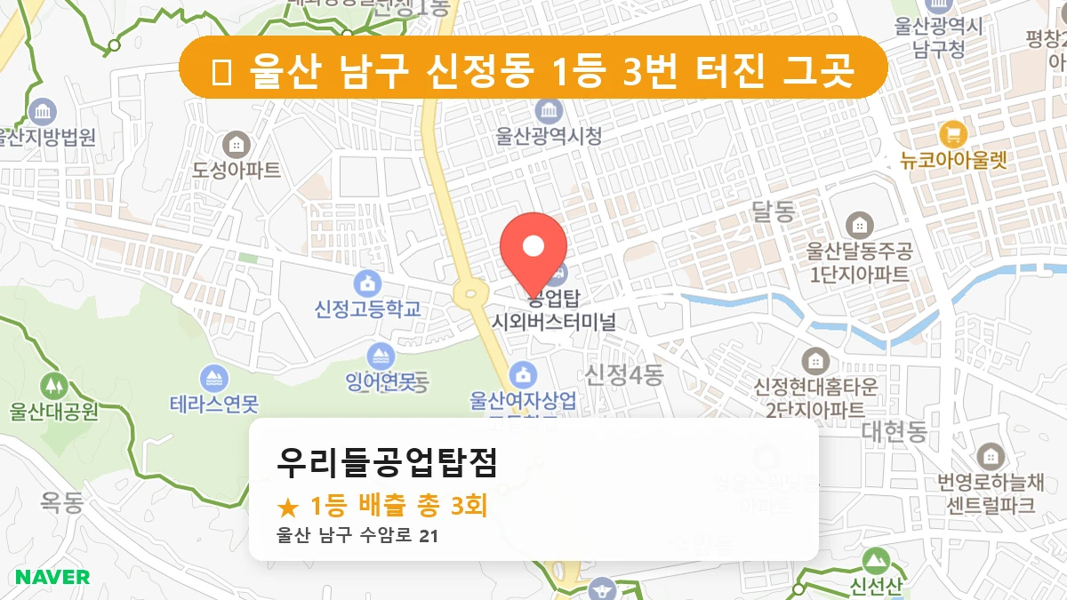 우리들공업탑점 네이버 지도