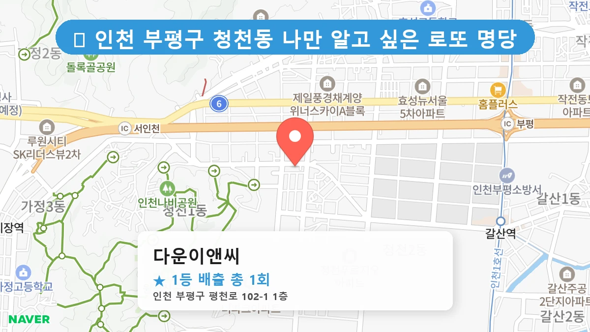 다운이앤씨 네이버 지도