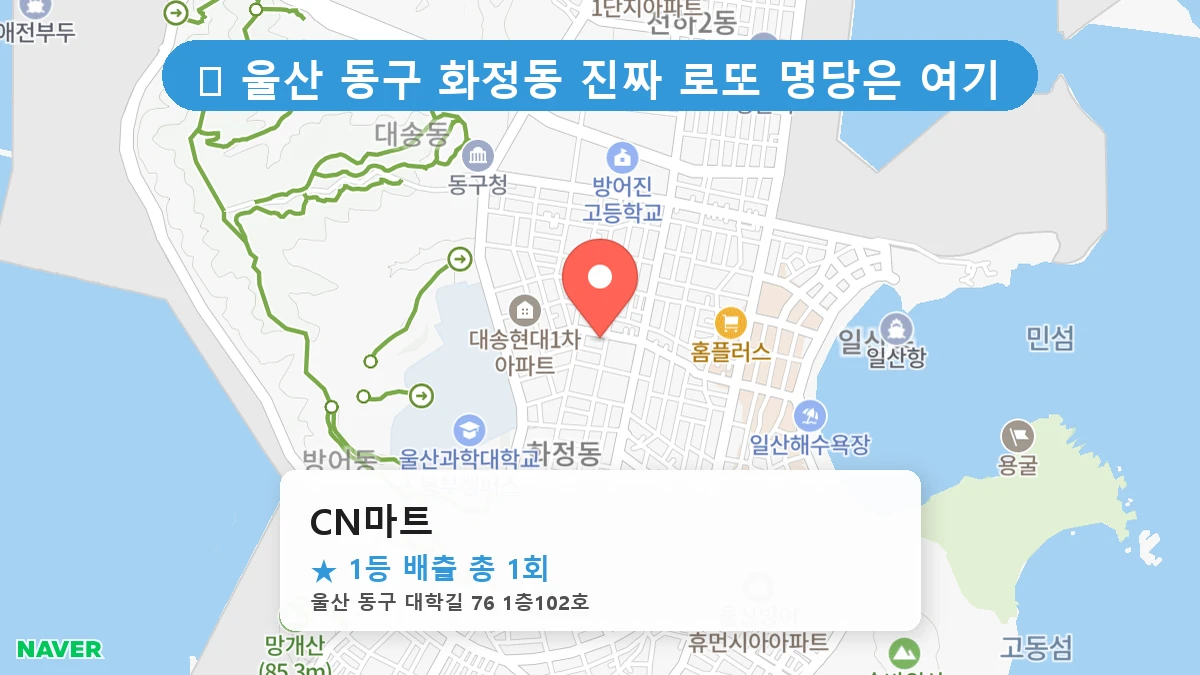 CN마트 네이버 지도