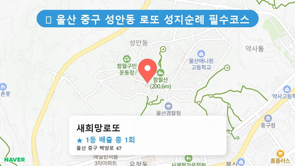 새희망로또 네이버 지도