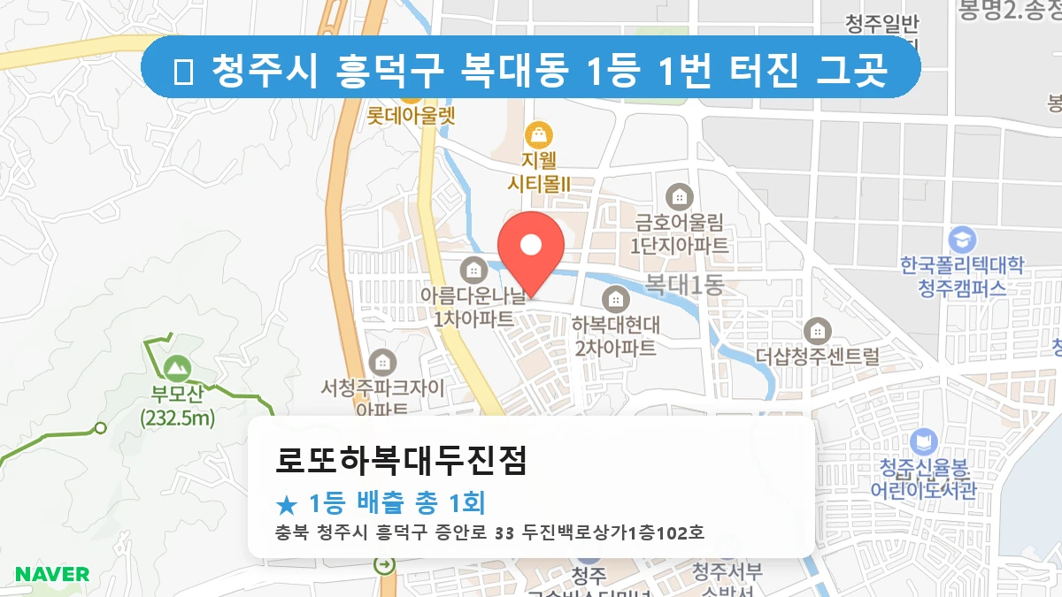 로또하복대두진점 네이버 지도