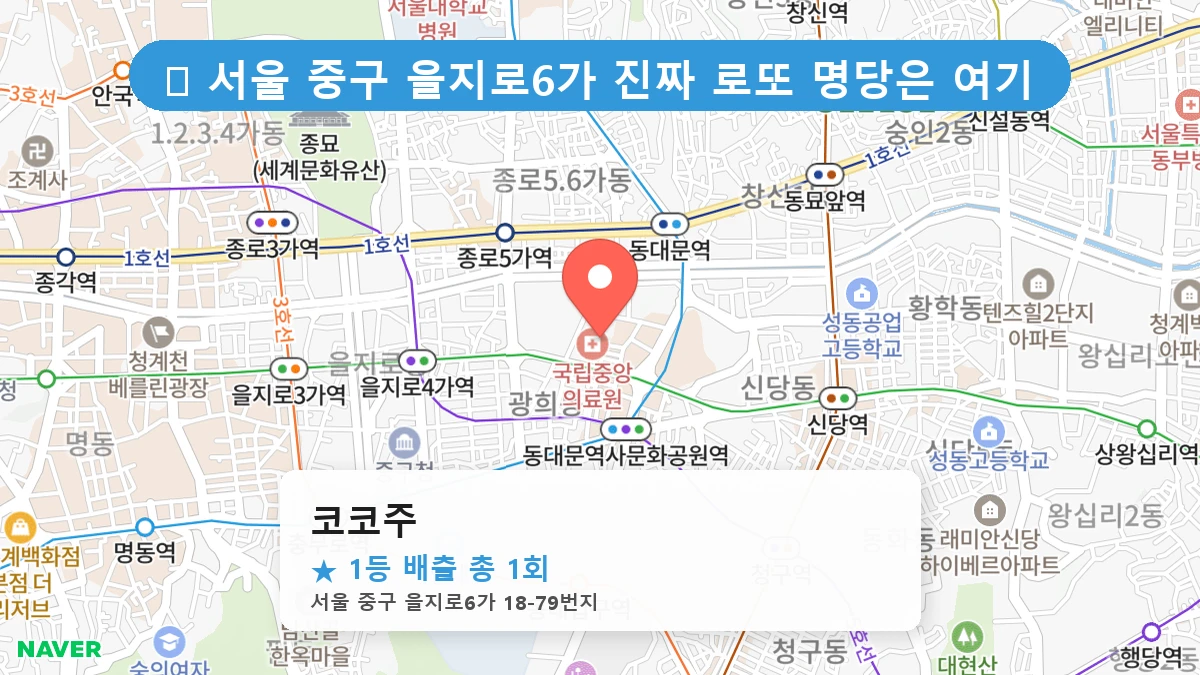 코코주 네이버 지도