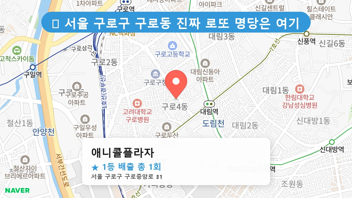 애니콜플라자 네이버 지도