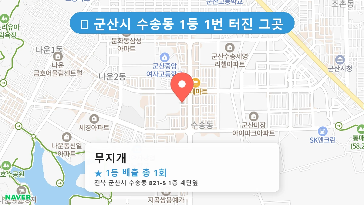 무지개 네이버 지도