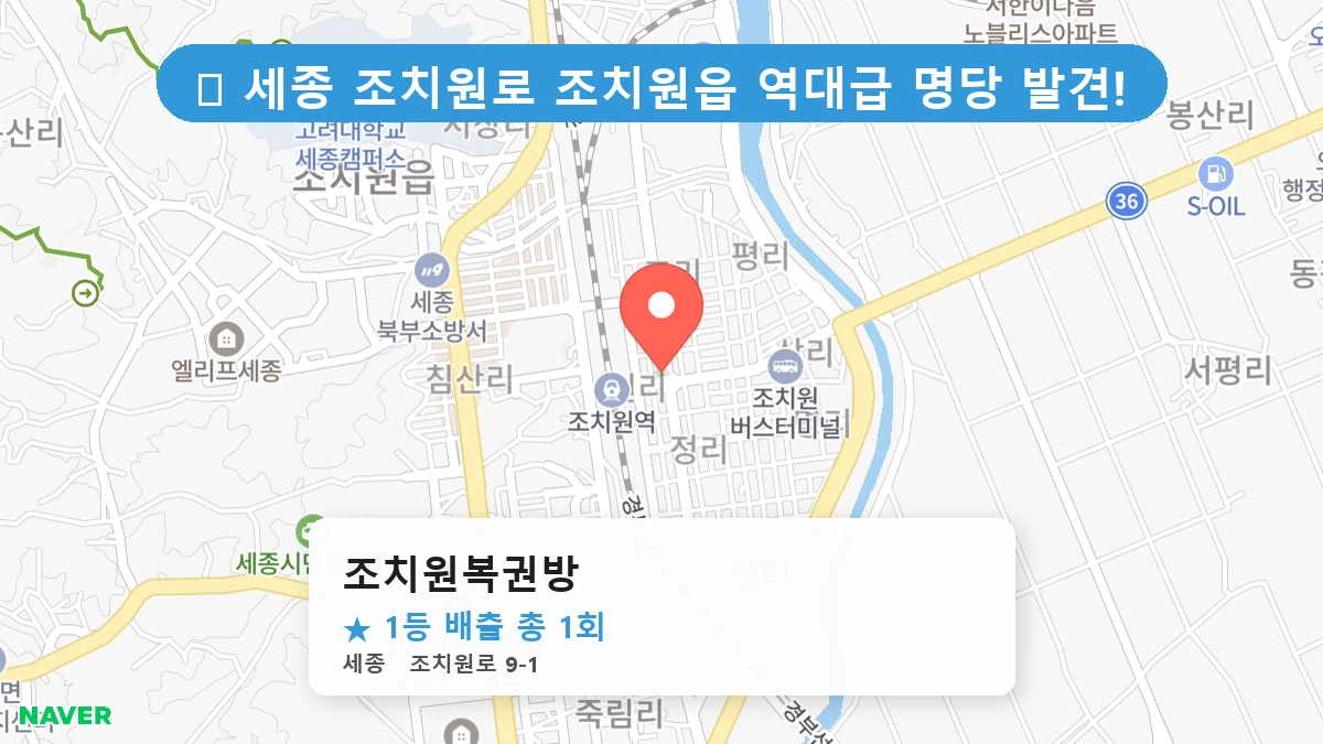 조치원복권방 네이버 지도