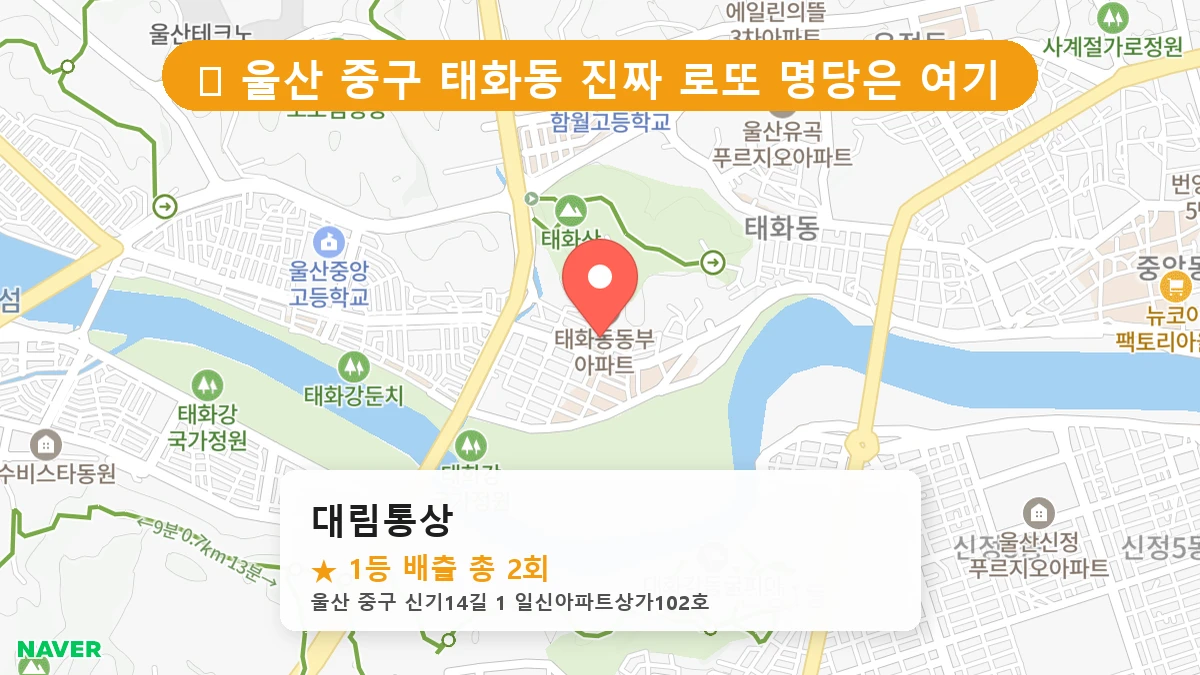 대림통상 네이버 지도