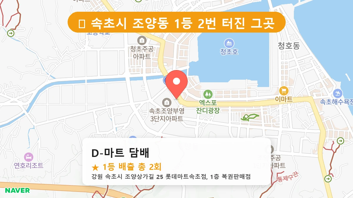 D-마트 담배 네이버 지도
