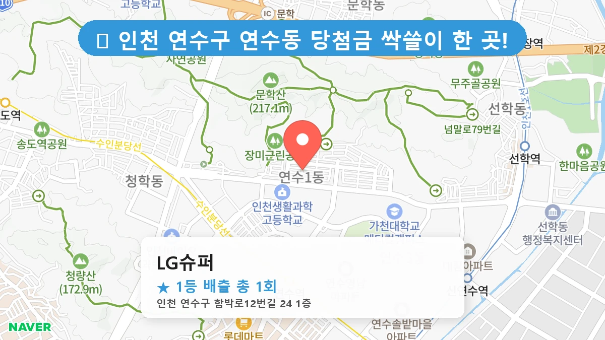 LG슈퍼 네이버 지도