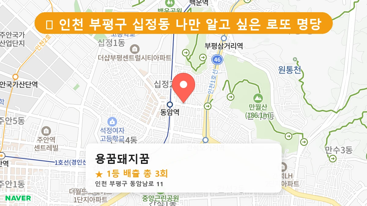 용꿈돼지꿈 네이버 지도