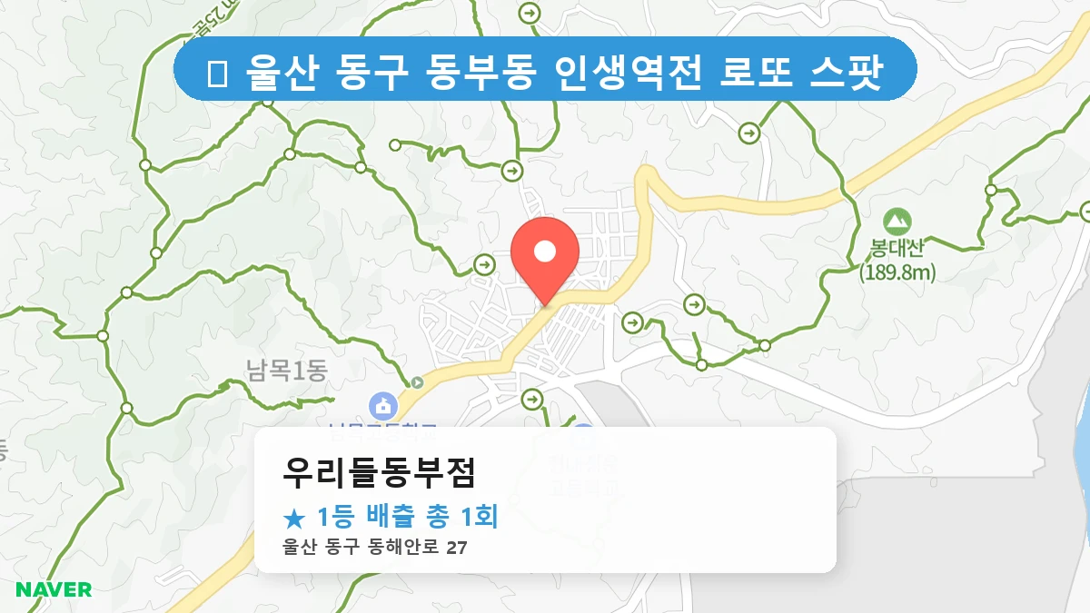 우리들동부점 네이버 지도