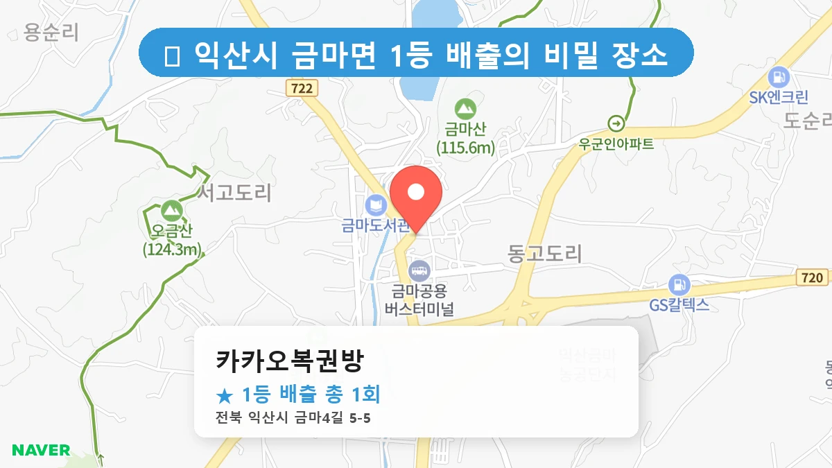 카카오복권방 네이버 지도